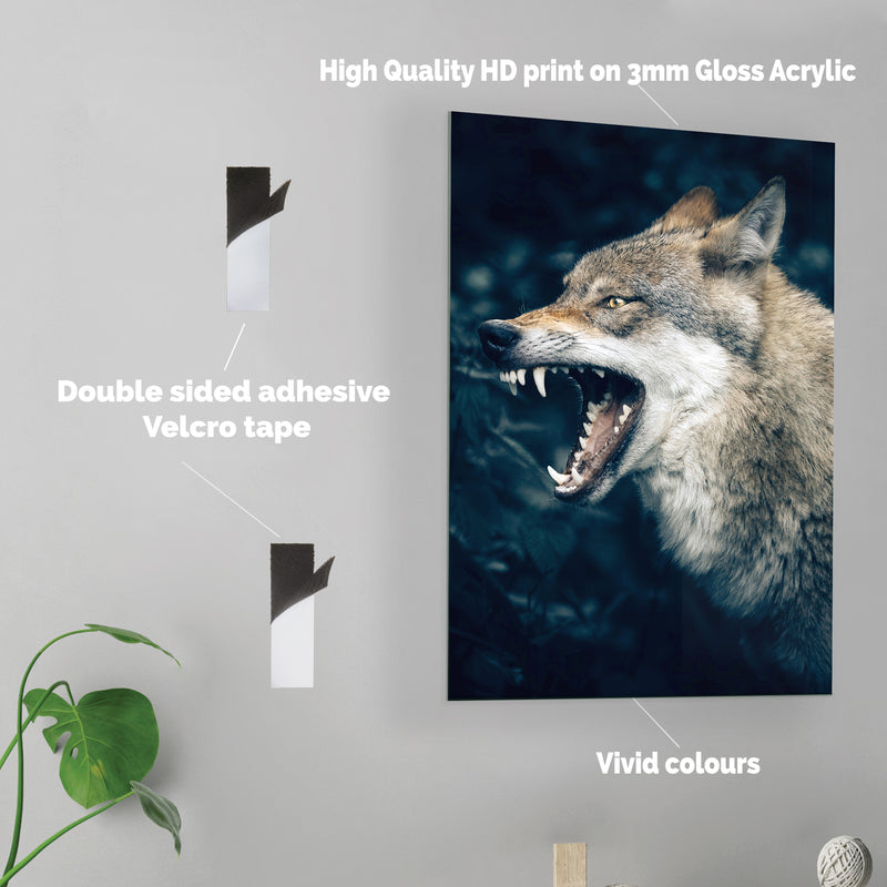 Wolf - Acrylic Wall Art Poster Print