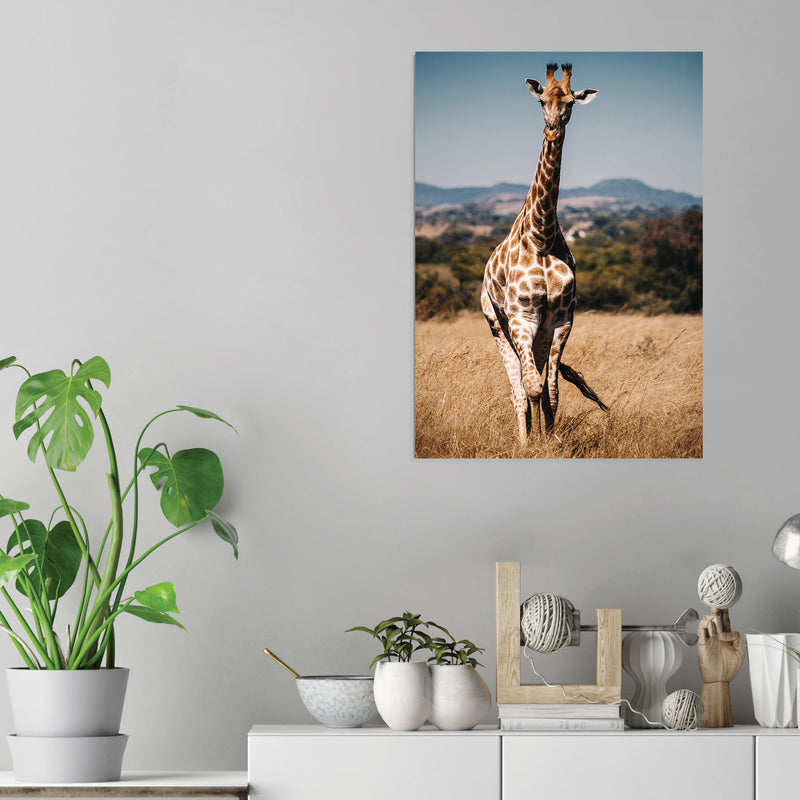Copy of Giraffe - Acrylic Wall Art Poster Print
