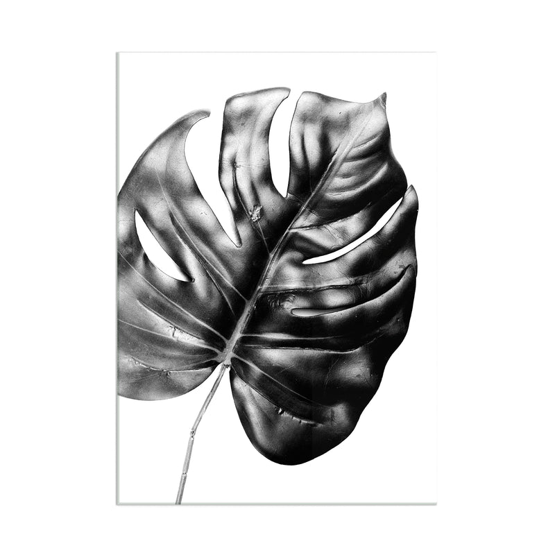 Monstera Plant - Acrylic Wall Art Poster Print