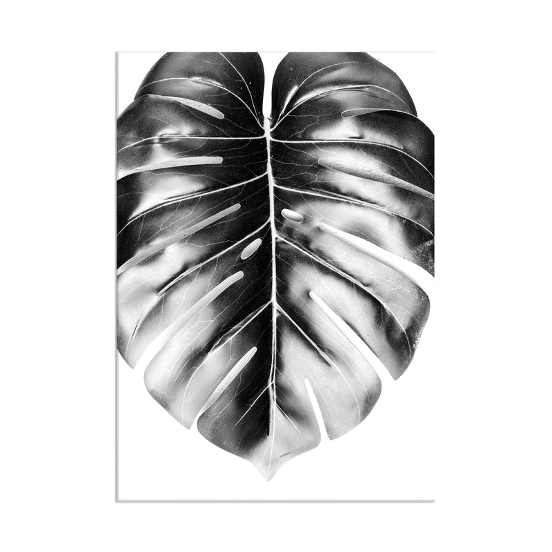 Monstera Leaves - Acrylic Wall Art Poster Print