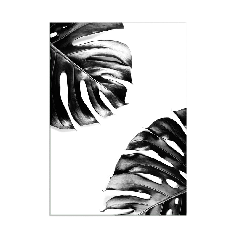 Monstera Leaf - Acrylic Wall Art Poster Print