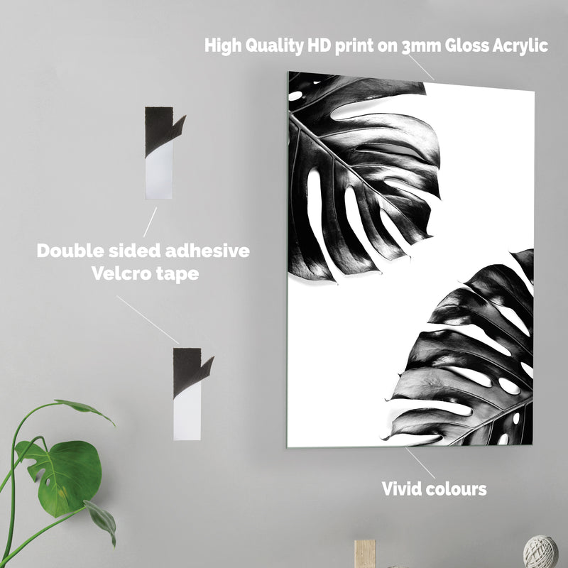 Monstera Leaf - Acrylic Wall Art Poster Print