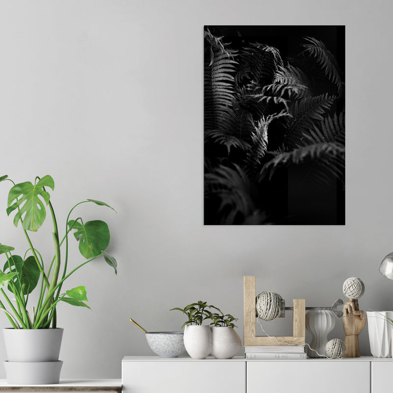 Black White Fern - Acrylic Wall Art Poster Print