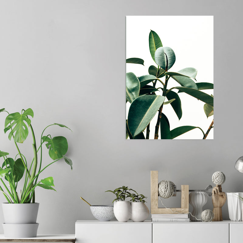 Leaves - Acrylic Wall Art Poster Print