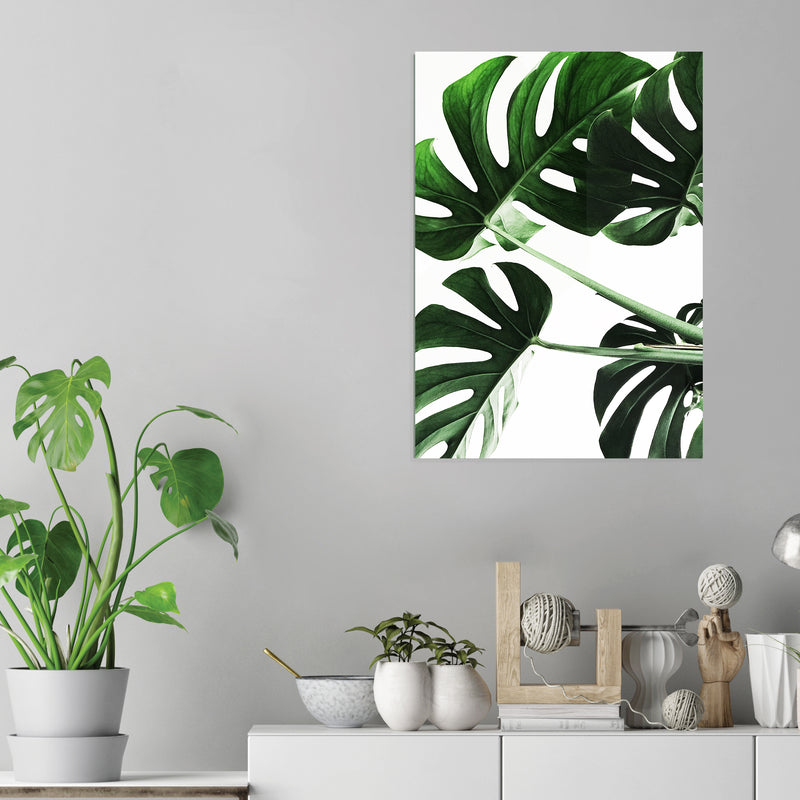 Leaves - Acrylic Wall Art Poster Print