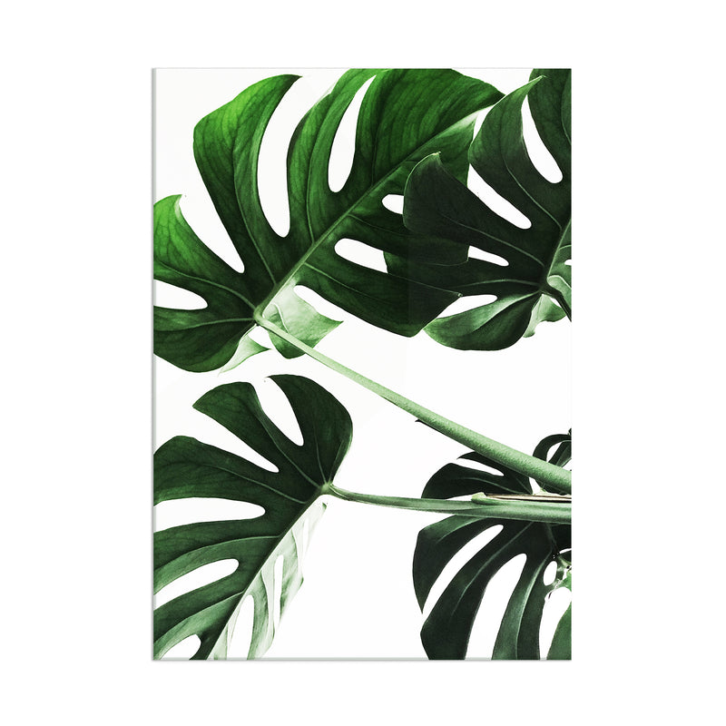 Leaves - Acrylic Wall Art Poster Print