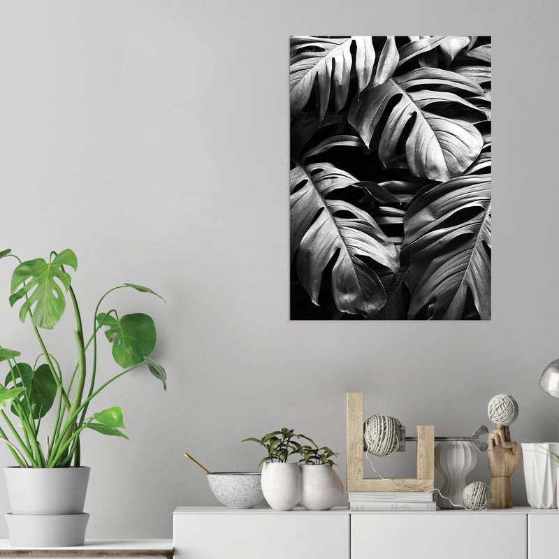 Leaves Black White - Acrylic Wall Art Poster Print