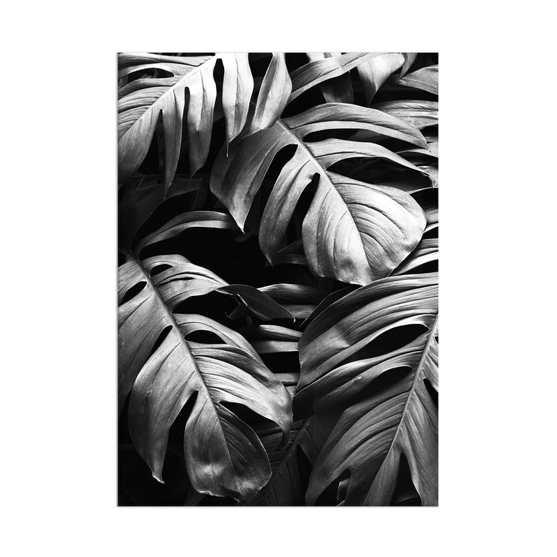 Leaves Black White - Acrylic Wall Art Poster Print
